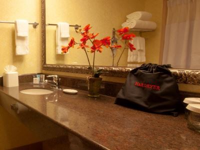 Delta By Marriott Anaheim Hotel 4*