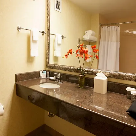 Hotel Delta By Marriott Anaheim 4*